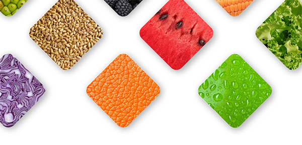 Laboratorio Richet - Dia do Nutricionista