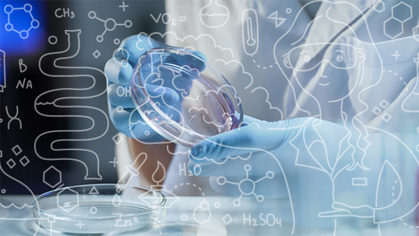 Richet - Fluxograma para Solicitação de Nova Amostra
