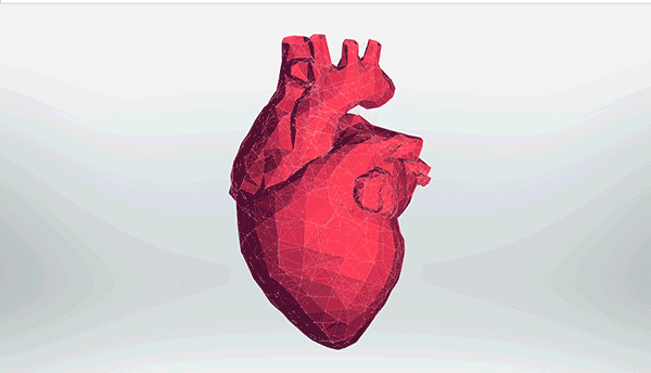 Dia do Cardiologista