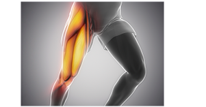 Richet - Conteúdos mais lidos em Setembro.