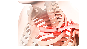 Richet - Conteúdos mais lidos em Setembro.