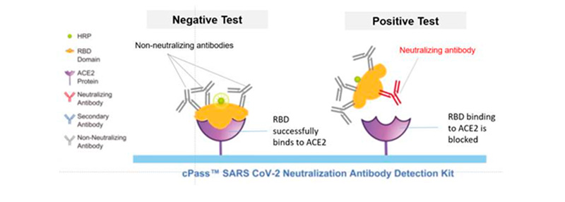 Imagem explicativa sobre o teste.