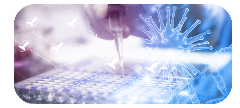 Imagem laboratorial.