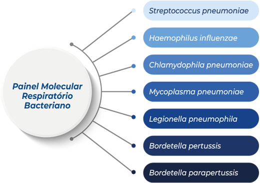 Painel Molecular Respiratório Bacteriano